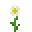 Grid Oxeye Daisy.png